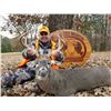 Image 1 : Archery Whitetail Hunt in Illinois for Two with Rocky Branch Outfitters