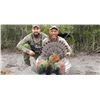 Image 1 : Ocellated and Gould’s Turkey Hunt with El Halcon