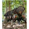 Image 1 : Ocellated Turkey Hunt for Two with Baja Hunting