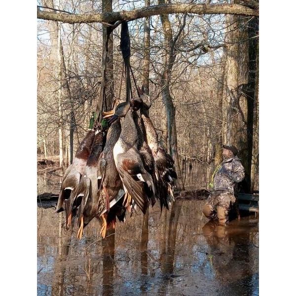 Arkansas Green Timber Duck Hunt for Four
