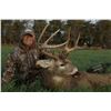 Image 1 : Kansas Rifle Whitetail Hunt for One with BuckVentures