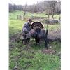 Image 2 : One-of-a-Kind 2025 North Dakota Turkey Hunt Package (2 tags)