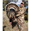 Image 1 : Fully Guided One Person Merriam’s Turkey Hunt with Trophies West Outfitters