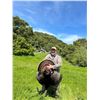 Image 2 : 3-Day California Turkey Hunt for Two (2) Hunters