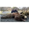 Image 2 : 2025 Alaskan Caribou Brown Bear Combo with Bearfoot Adventures