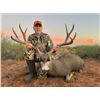 Image 2 : 2025 New Mexico Mule Deer Hunt for 2 on Private ground