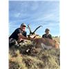 Image 2 : 2025 New Mexico Antelope Hunt