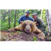 Image 2 : 6-Day Fully Guided Spring Black Bear Hunt in Alberta, Canada for One (1) Hunter