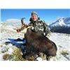 Image 2 : 4-Day New Zealand Chamois Hunt for Two (2) Hunters