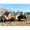 Image 2 : 7-Day Eastern Cape South Africa Hunt for Four (4) Hunters