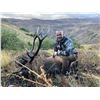 Image 2 : 6-Day Argentina Red Deer Hunt for One (1) Hunter