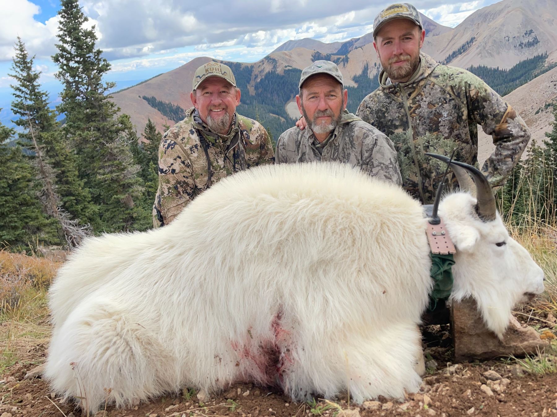 2025 Utah La Sal, La Sal Mtns Mountain Goat Conservation Permit - Any ...