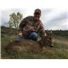 Image 2 : 5-Day Roe Deer Hunt in Spain for One (1) Hunter and (1) Non-Hunter