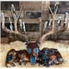 Image 2 : Antler Steak Knife Set