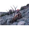 Image 2 : 2025 Wyoming Governor's Deer, Elk or Antelope License