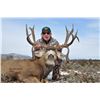 Image 8 : 2025 Jicarilla Tribe Mule Deer Auction Permit