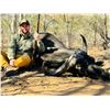 Image 2 : 10-Day Cow Buffalo Hunt for Two (2) Hunters