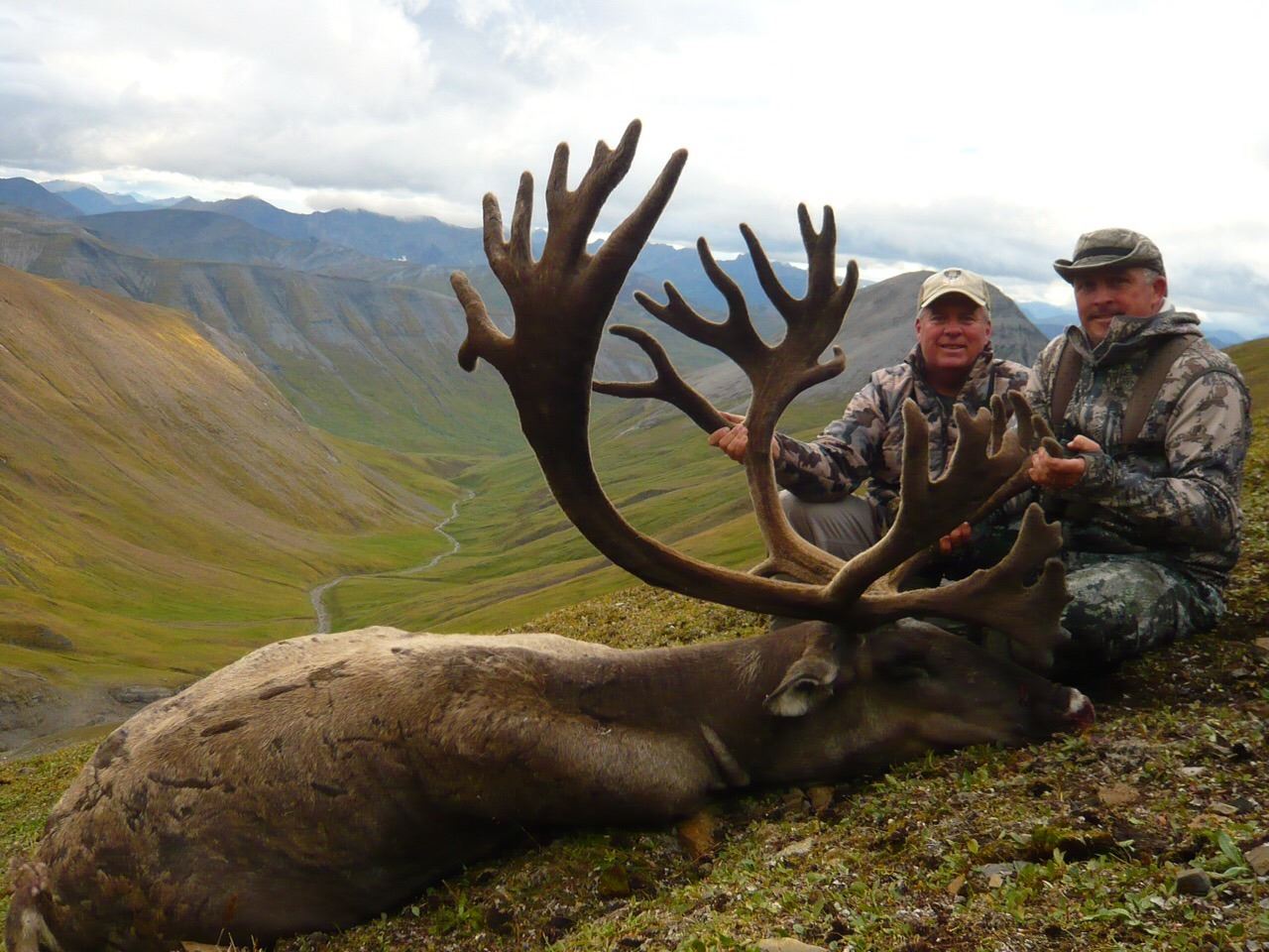 Caribou Rack 10 DAY HIGH COUNTRY MOUNTAIN CARIBOU HUNT FOR 2 HUNTERS WITH ARCTIC RED ...