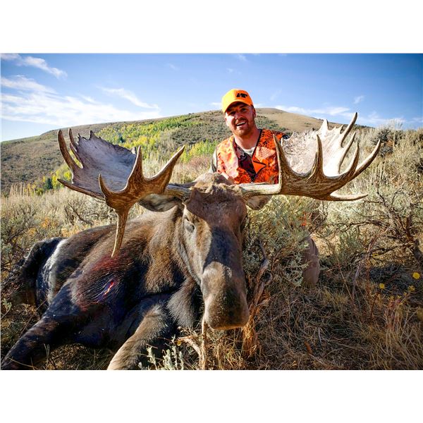 2025 Utah Statewide Bull Moose Conservation Permit