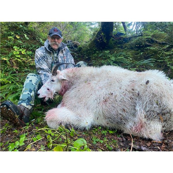 2025 Alaska Revillagigedo Mountain Goat Permit (SG056)