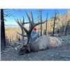 Image 2 : 2025 Utah Beaver, East Bull Elk  Conservation Permit, Hunters Choice of Season/Weapon