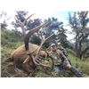 Image 3 : 2025 Utah Beaver, East Bull Elk  Conservation Permit, Hunters Choice of Season/Weapon