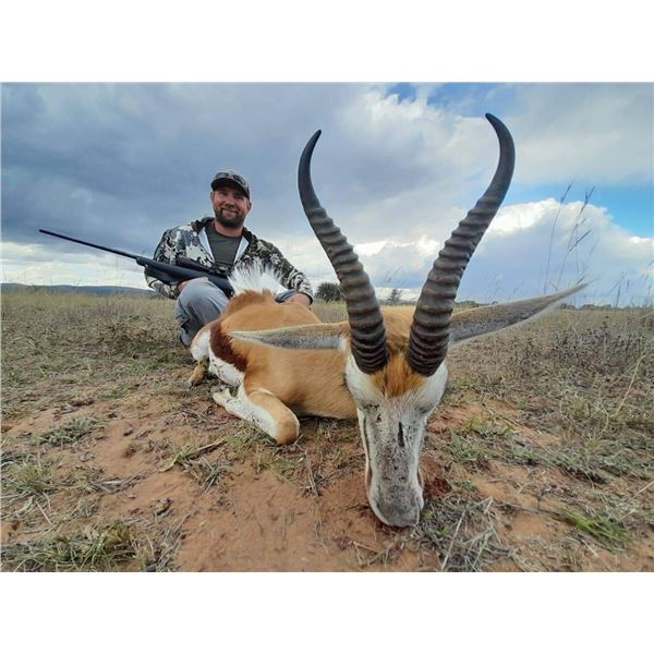 Springbuck Blue 6-Day South Africa Blue Wildebeest, Springbok, Blesbok & Impala Hunt ...