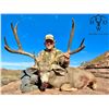 Image 2 : 5-Day Texas Desert Mule Deer Hunt for One (1) Hunter