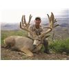 Image 2 : 2025 Utah Statewide Mule Deer Conservation Permit