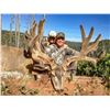 Image 2 : 2025 Utah Paunsaugunt LE Buck Deer Conservation Permit, Mulit-season