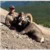 Image 2 : 2025 14 - Day Stone Sheep Hunt - Full Curl Stone Outfitters BC