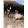Image 2 : 5-Day Utah Elk Hunt with R&K Hunting Company