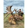 Image 1 : 5-Day Argentina Hunt for Two (2) Hunters