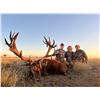 Image 2 : 5-Day Argentina Hunt for Two (2) Hunters