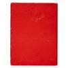 Image 2 : A Carnation: The First 75 Years Book.