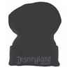 Image 1 : A Disneyland Resort Cast Member Knit Cap.