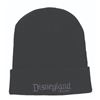 Image 3 : A Disneyland Resort Cast Member Knit Cap.