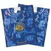 Image 4 : A Set of Disneyland 50th Anniversary Shopping Bags.