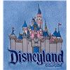 Image 2 : A Disneyland Resort Sleeping Beauty Castle Blanket.
