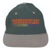 Image 1 : A New Tomorrowland Energizer Light-Up Hat.