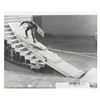 Image 1 : A Prince Phillip Studio Photostat Reference Print.