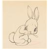 Image 2 : A "Little Hiawatha" Production Drawing.