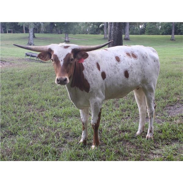 Riverforks Janie Bell