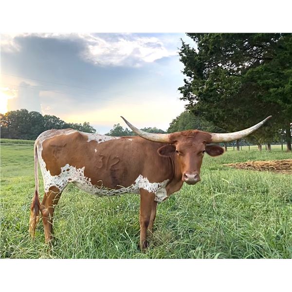 TC Hangin' On A Prayer