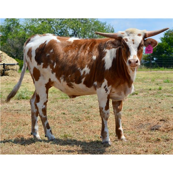 G3 Poems & Closing Time