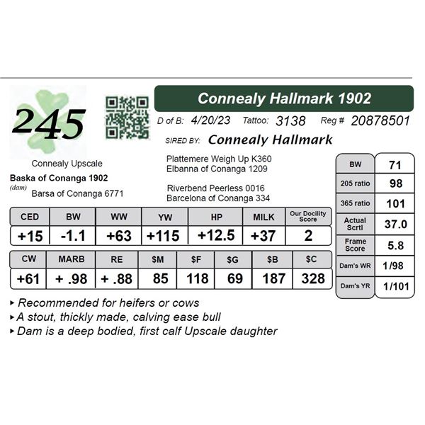 Connealy Hallmark 1902