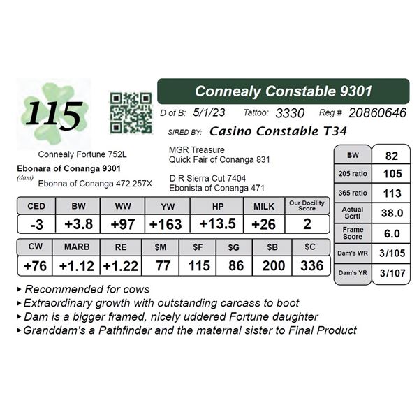 Connealy Constable 9301