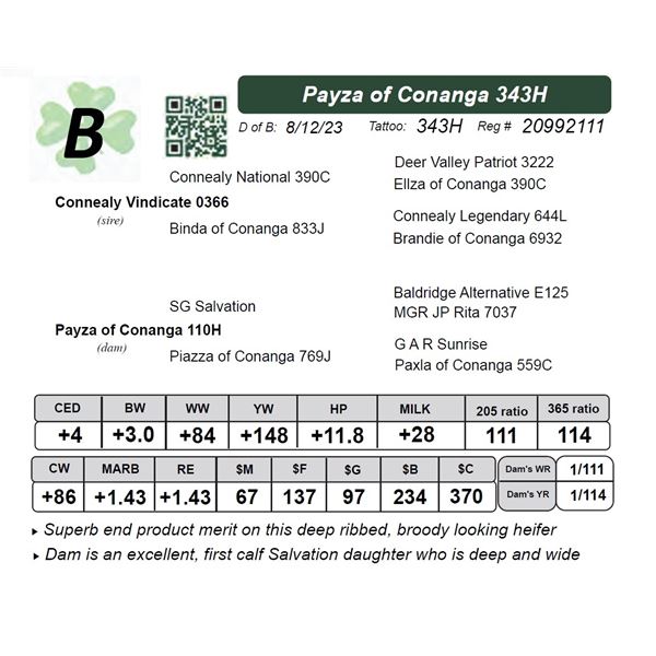 Payza of Conanga 343H