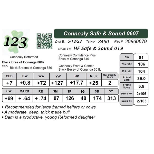 Connealy Safe & Sound 0607
