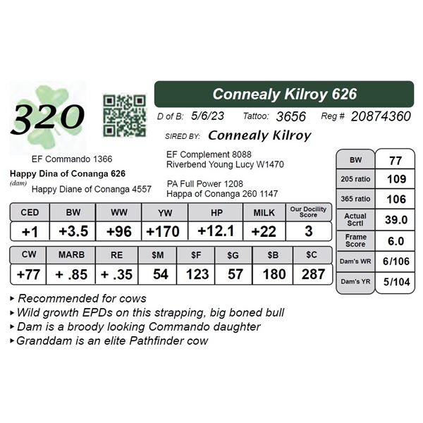 Connealy Kilroy 626
